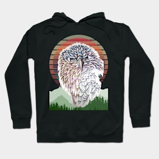 eagle's stare Hoodie